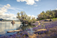 Beauty of Folsom Lake