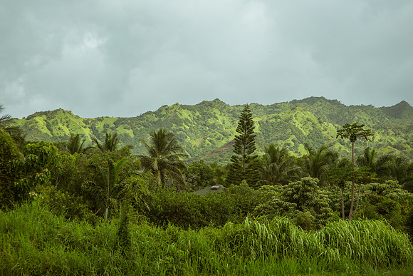 Mountain