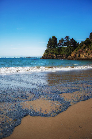 Ocean